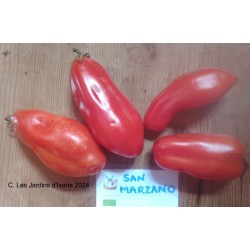 San Marzano