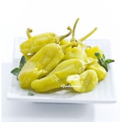 Pepperoncini Yellow