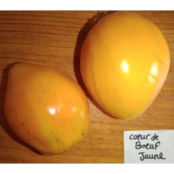 Graines Tomate Cœur bœuf - Aubépin, Semences Biologiques